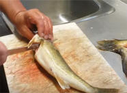 How To Fillet a Walleye