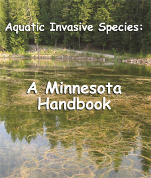 Minnesota Handbook