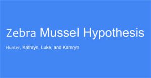 zebra mussel huypothesis image