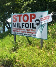 stop milfoil sign